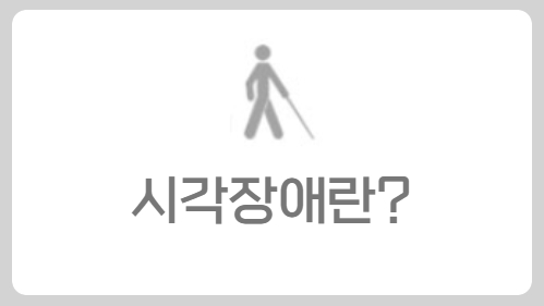 시각장애란?