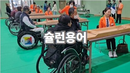 슐런용어