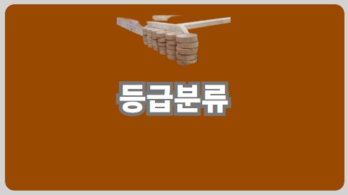 등급분류